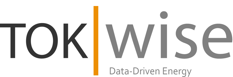 TokWise Logo