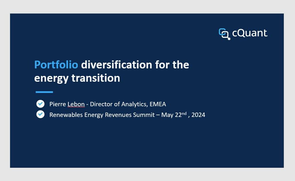 Portfolio Diversification for the Energy Transition Portfolio Diversification for the Energy Transition